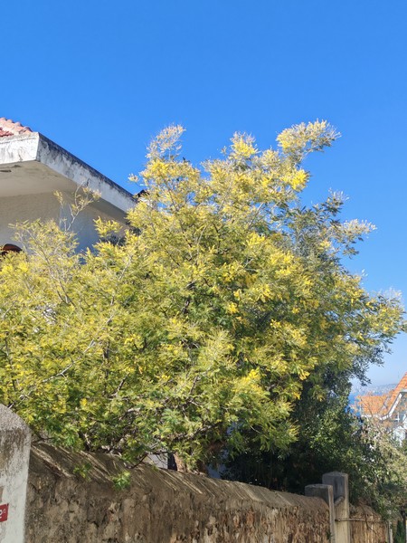 Оценка: 5/5. Обязательно к посещению!