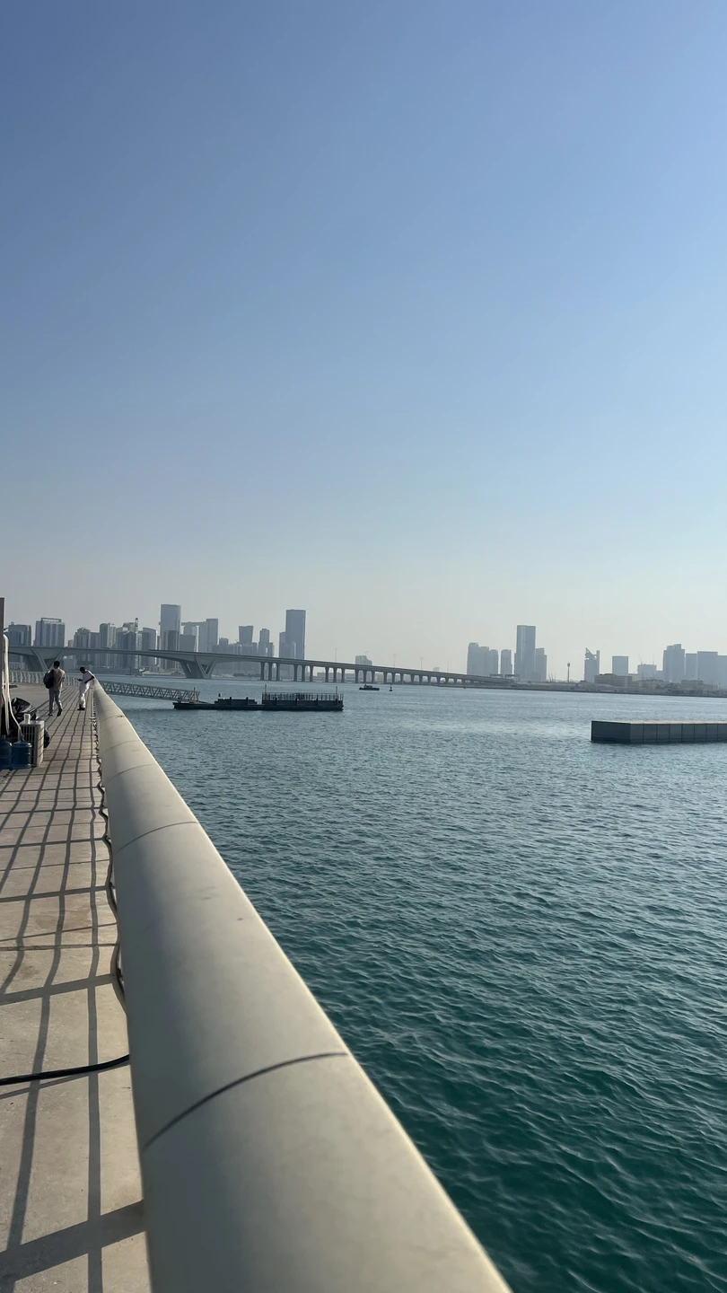 Была на экскурсии 2 эмирата у Дамира!