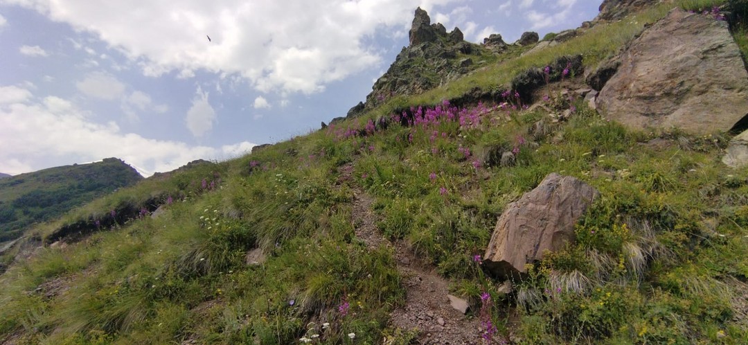 Путешествие в Джилы-Су из Пятигорска (Светлана)