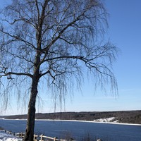 Фото отзыва 7: экскурсия ""