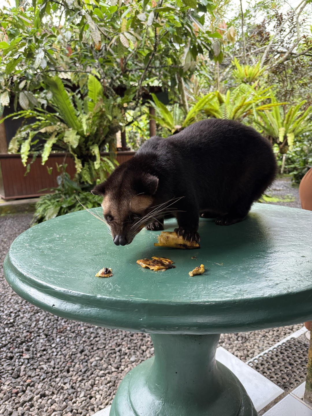 Чудесный гид Крисна, очень внимательный, вежливый и заботливый. Программа составлена комфортно, мы все посетили, несмотря на