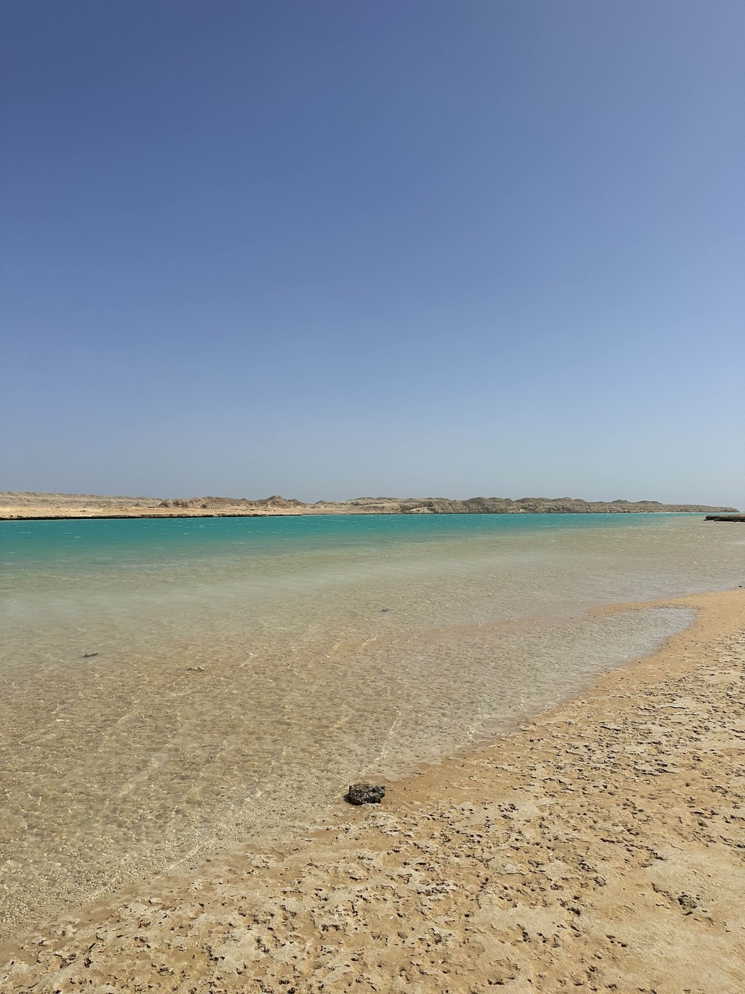 Путешествие в заповедник Рас-Мохаммед (Ирина)