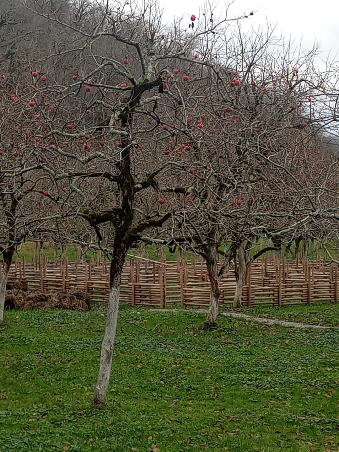 Брали индивидуальную экскурсию 5 января 2023 года. Машина подьехала вовремя, сразу оговорили маршрут и наши пожелания.