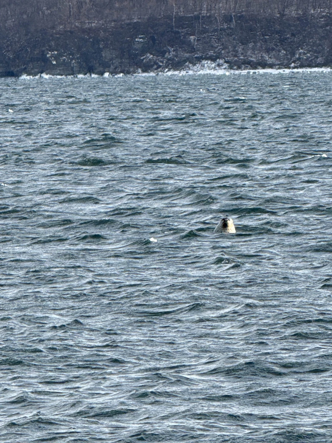 Екатерина, спасибо большое за экскурсию! Маршрут, виды, наполнение информацией и фотографии просто супер 👍👍👍 Отдельное спасибо