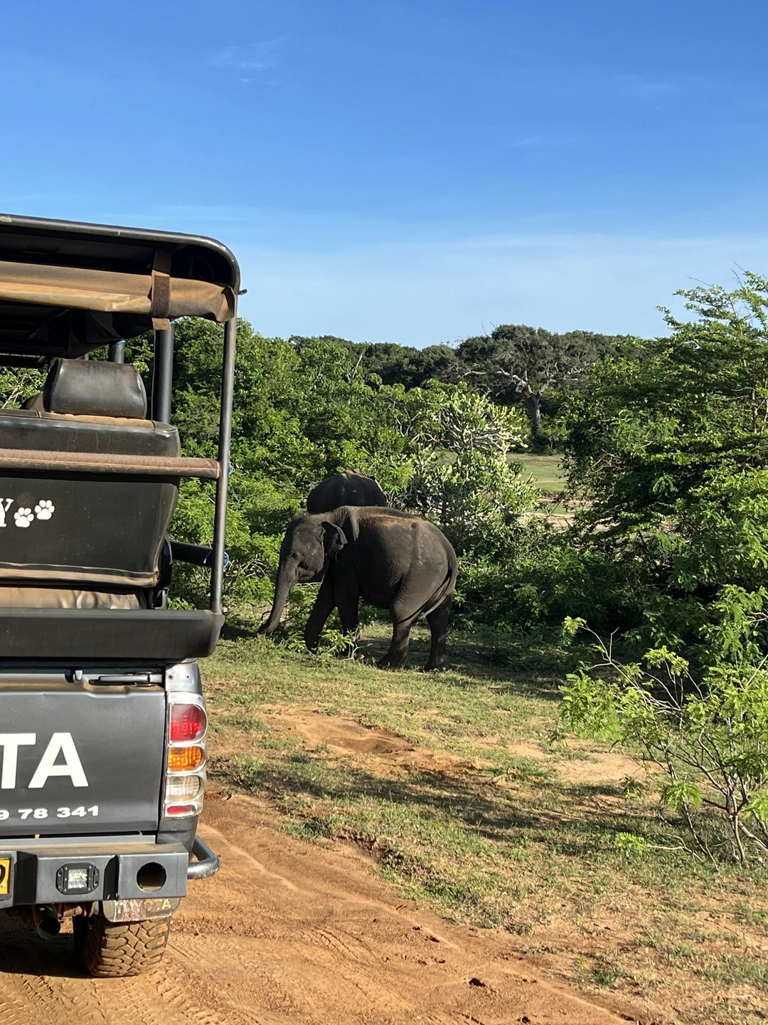 Очень рекомендую эту экскурсию. Дорога от отеля прошла незаметно: столько интересной истории, слушали втроем с 9-летним
