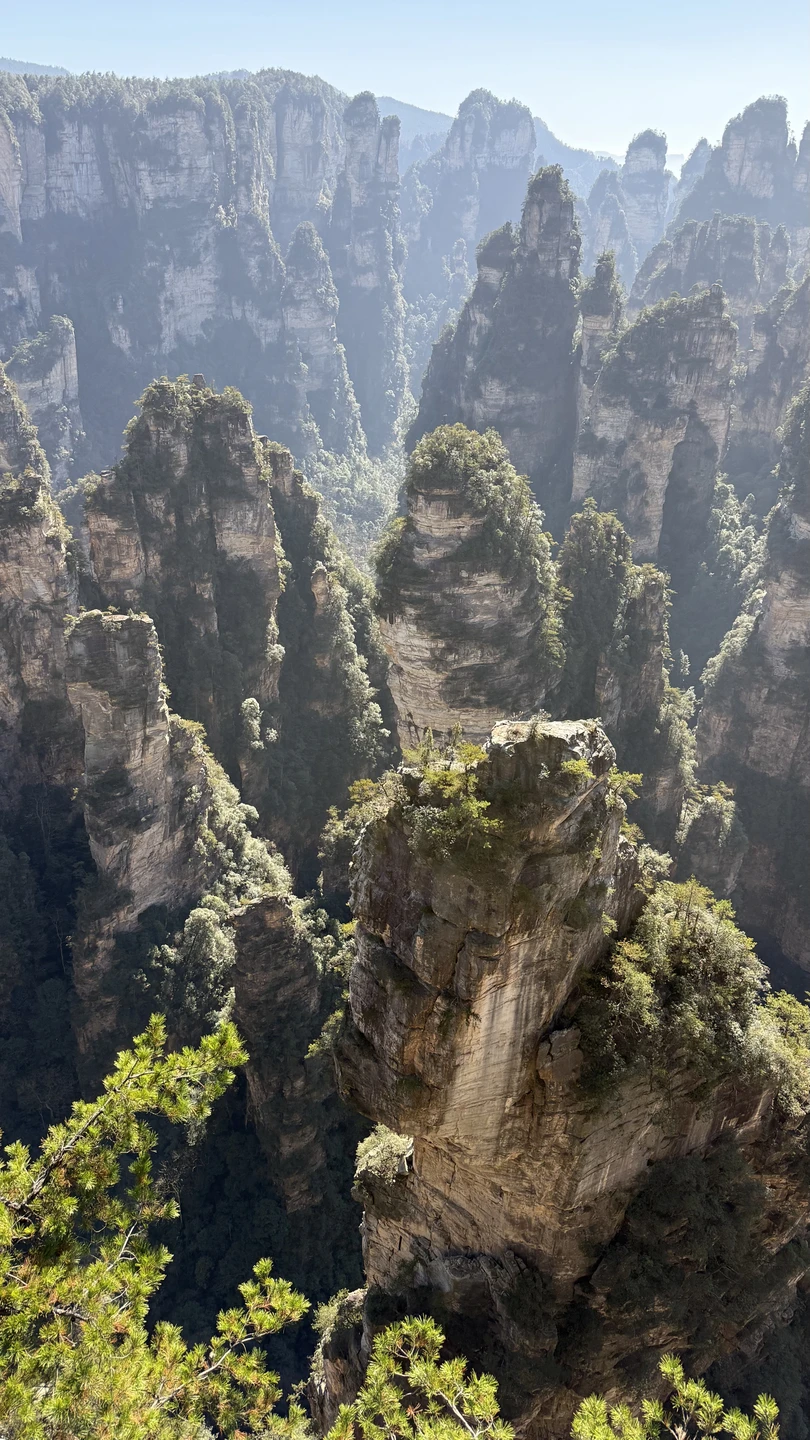 Мне всё понравилось..