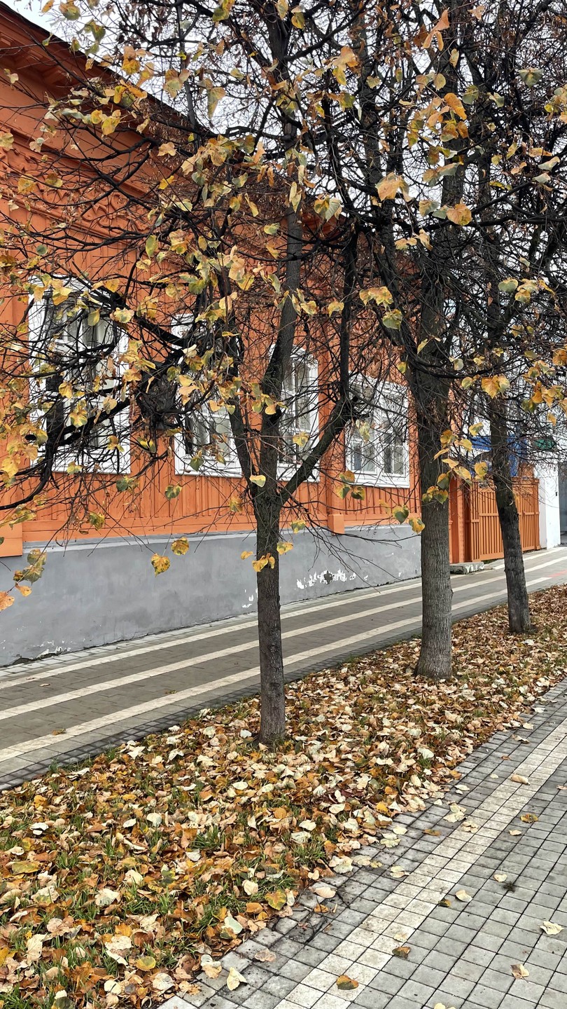 Интересный Арзамас и его старинные профессии (Ирина)