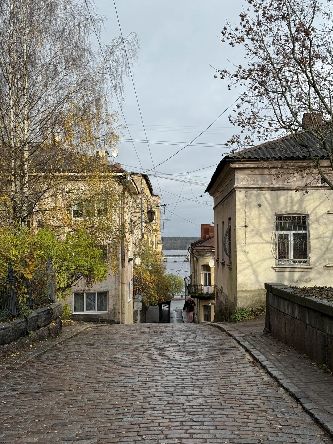 Большая обзорная прогулка по Выборгу (Ольга)