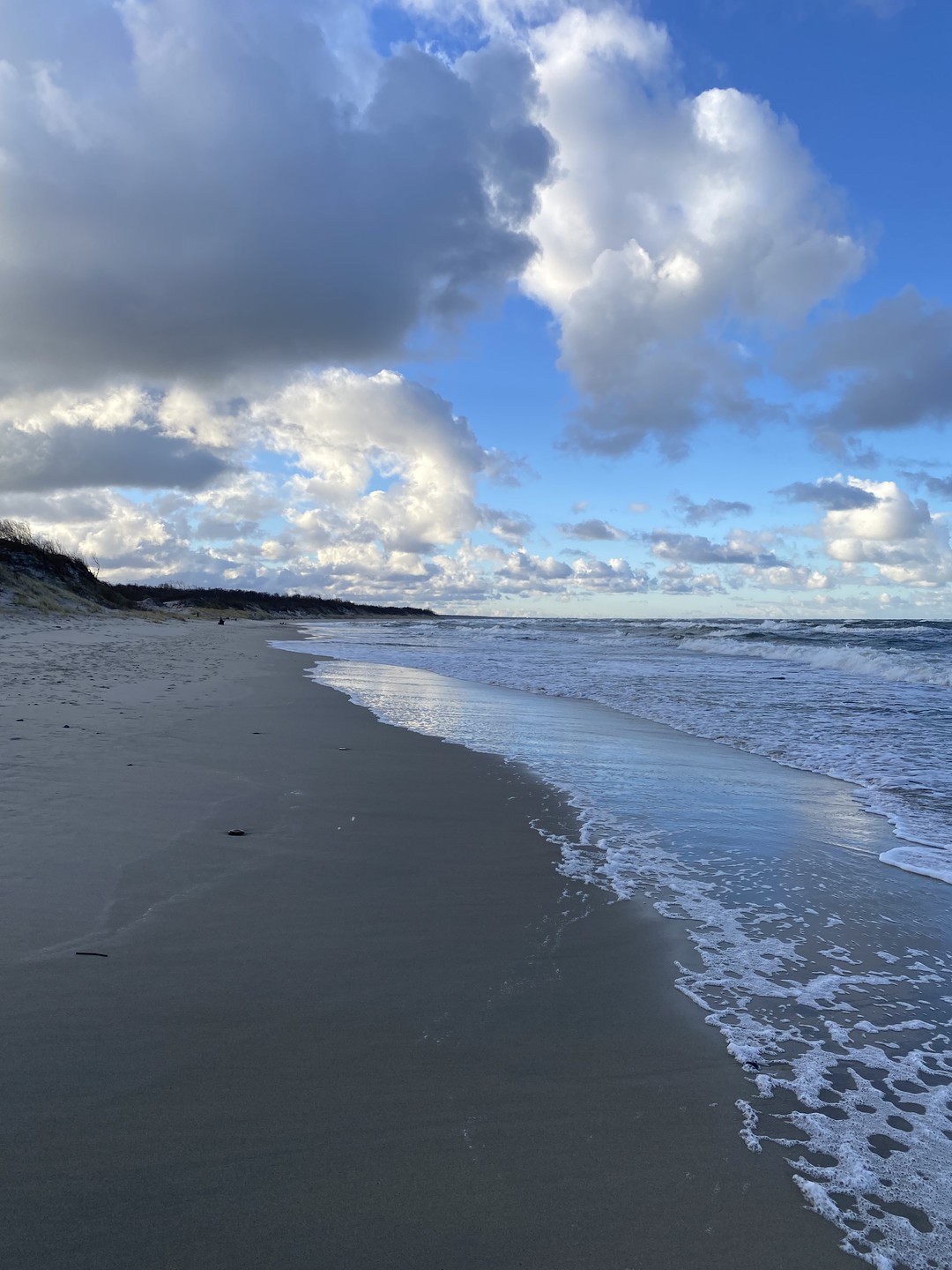 Оказалось, это прекрасная идея - сразу из аэропорта поехать на Куршскую косу! Прекрасная машина, Игорь -