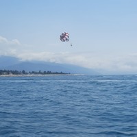 Фото отзыва 3: экскурсия "Морская рыбалка с капитаном Марией в Адлере"