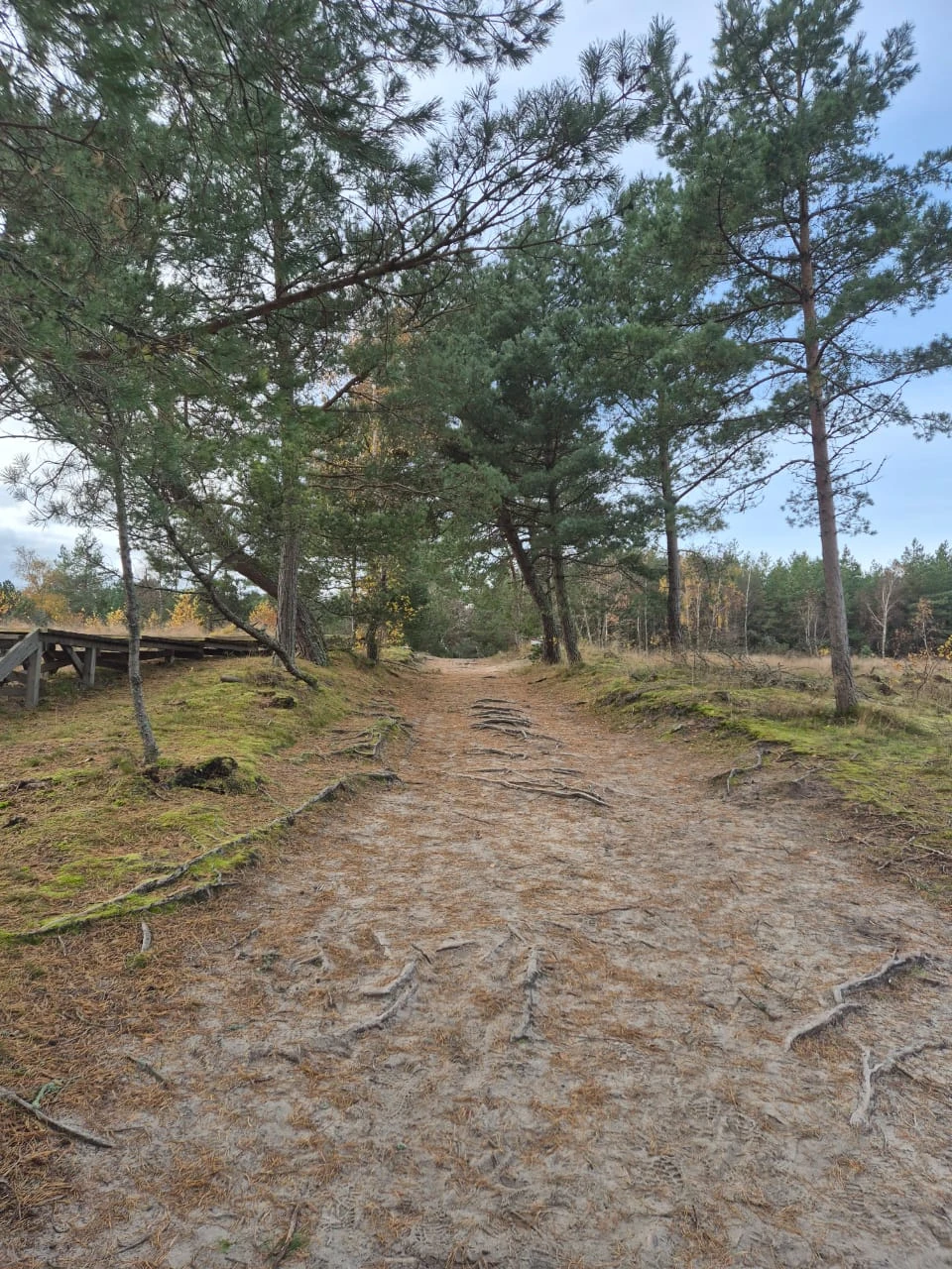 Топ-места Куршской косы (Елена)