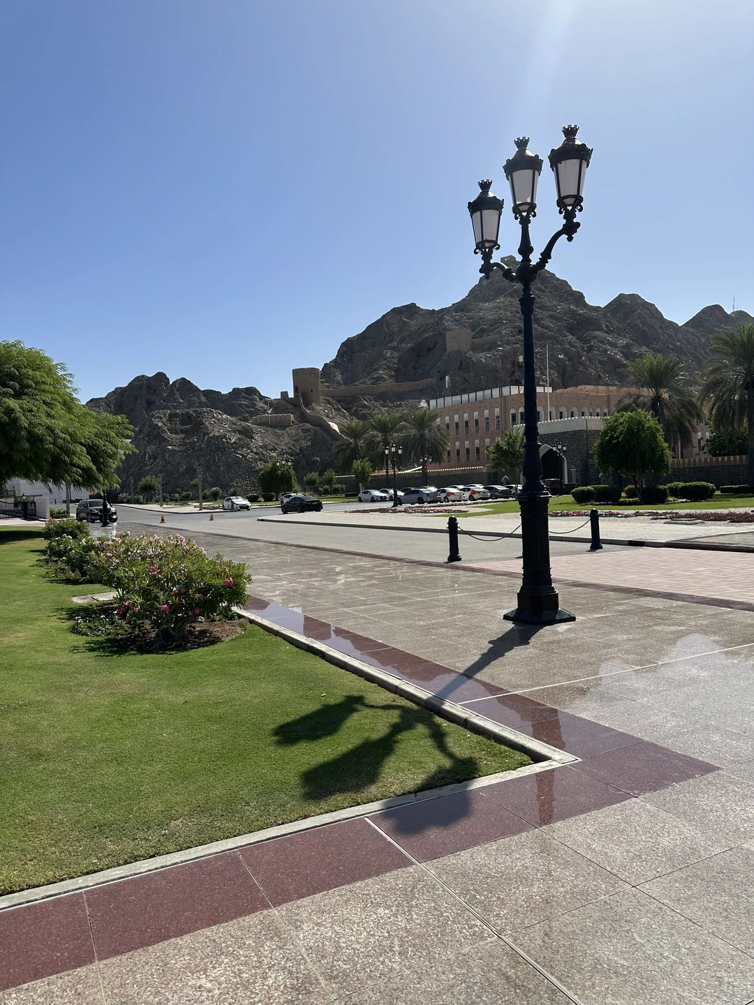 Были с мужем на обзорной экскурсии по Маскату с гидом Сергеем при длительной стыковке. Было комфортно