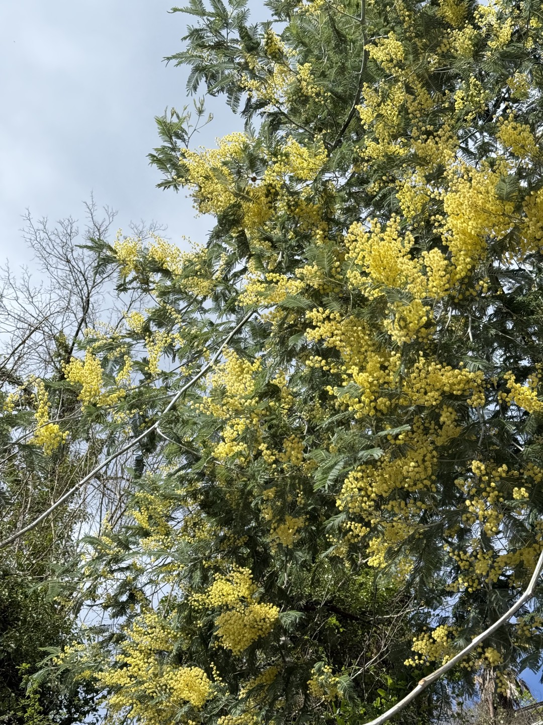 Доброго времени суток!