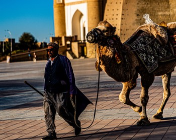 Знакомство с Бухарой: Пой-Калян, мавзолей Саманидов и Ляби-Хауз