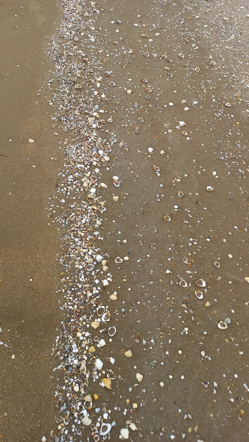 Прекрасная экскурсия с гидом Джамалом! Мы побывали в самой восточной точке Азербайджана- на мысе "орлиный клюв"