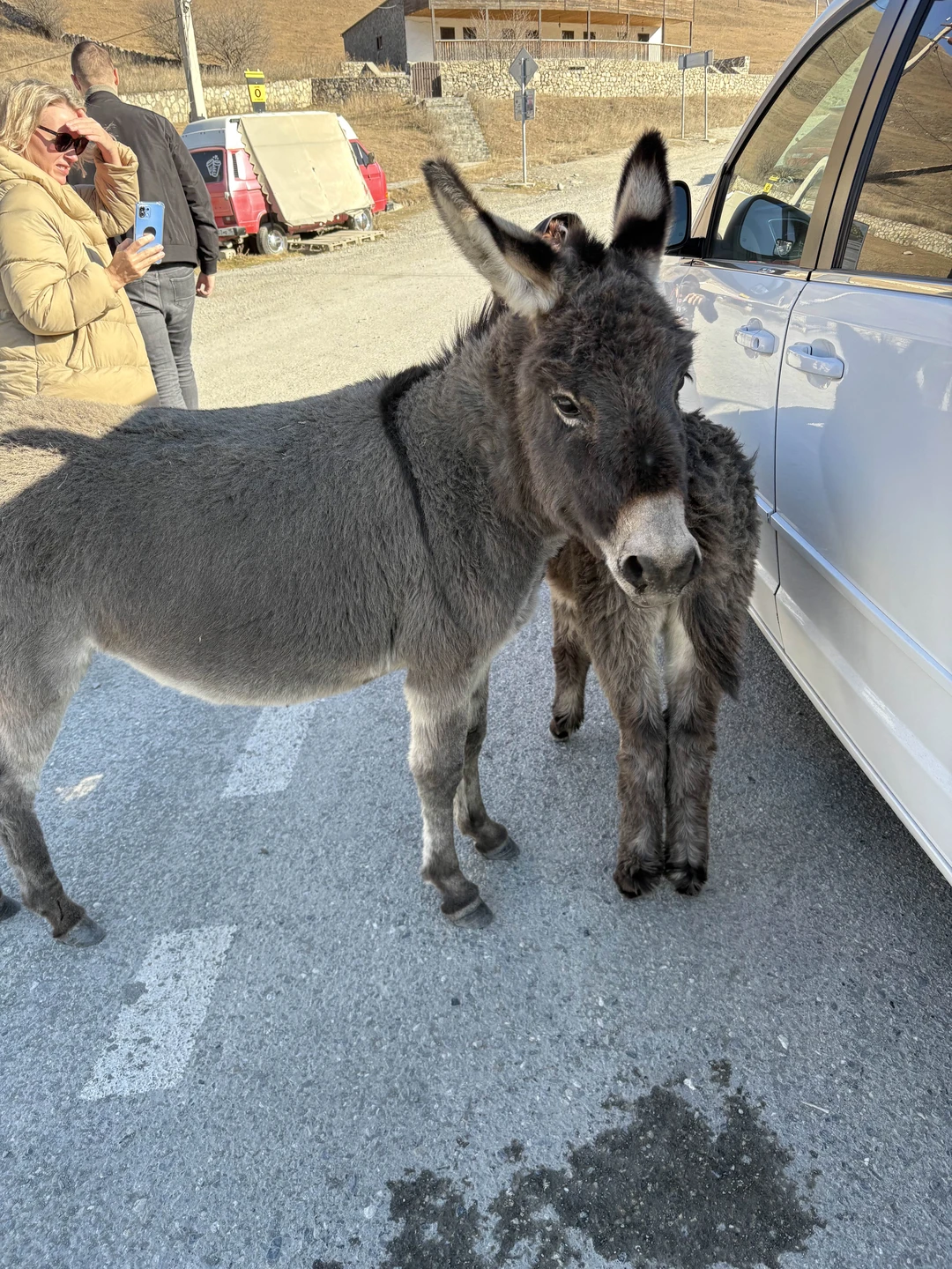 Хорошая экскурсия, чтобы посмотреть Осетию. Ездили в ноябре 25 года. Было тепло, но теплые вещи нужны
