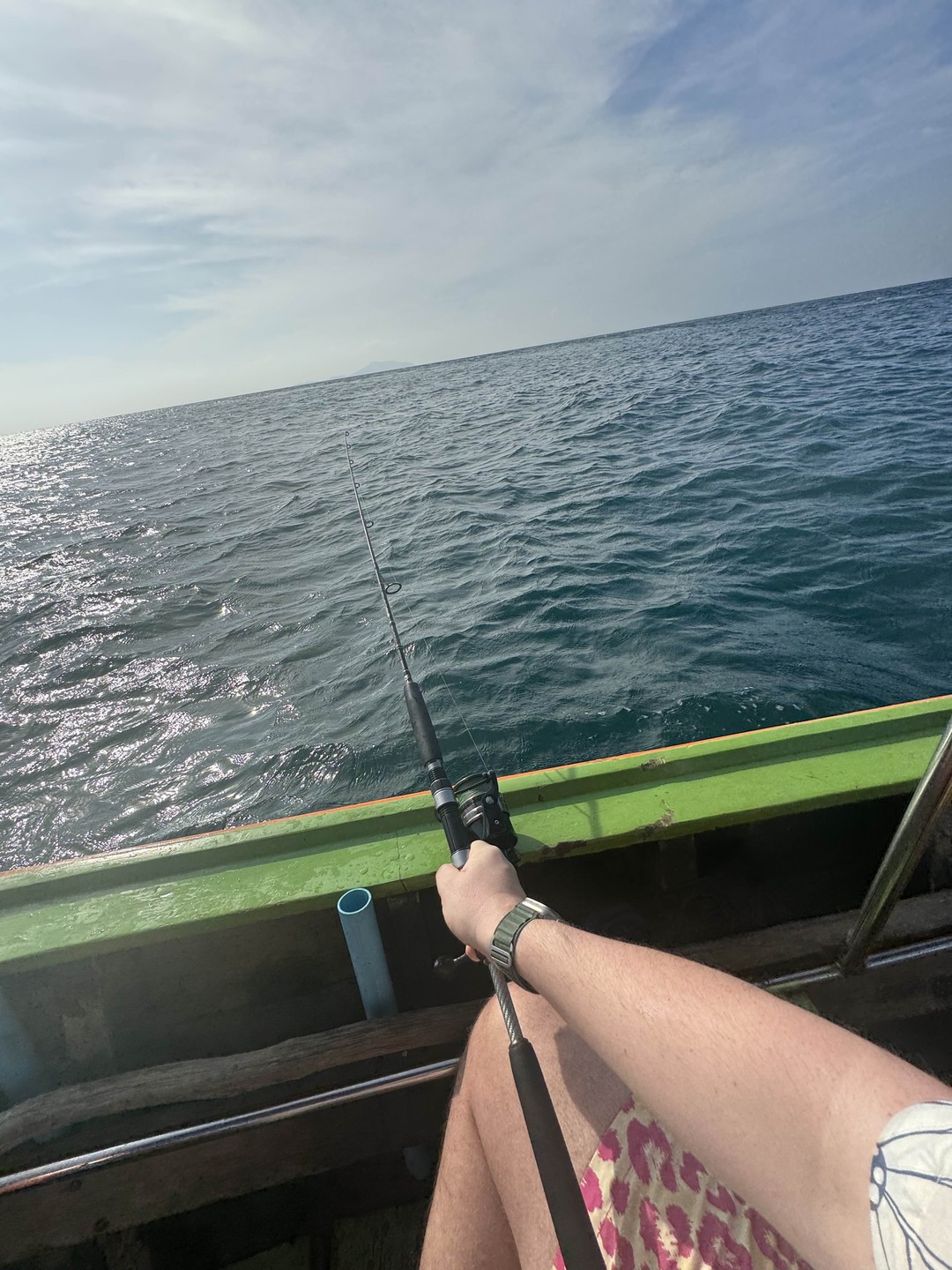 Отличная морская экскурсия. Словили рыбу, вкусный обед, отличные купания. Юрий шикарный гид