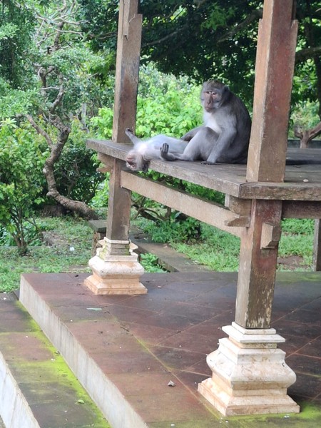 Экскурсия мне понравилась. Гид Suwitri хорошо говорит по русски. Машина удобная с кондиционером