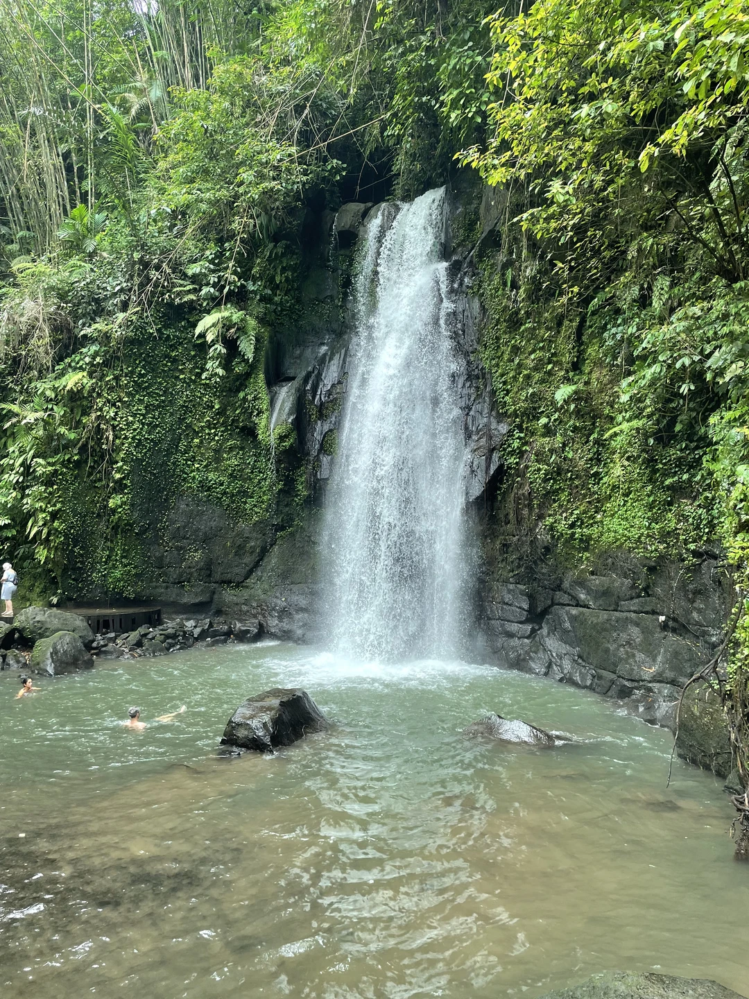 Всем добрый день! Сегодня мы с мамой были на экскурсии «Все краски Бали» с Густи! Хочется
