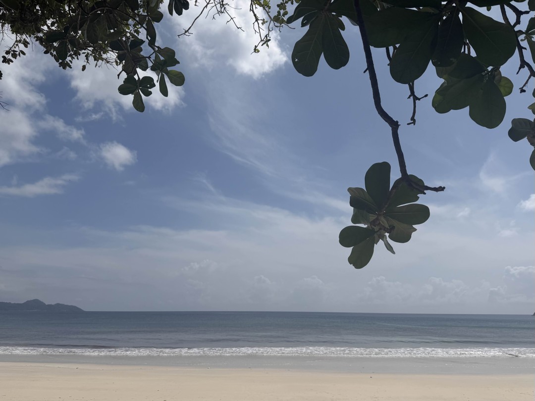 Очень здорово!