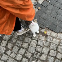 Фото отзыва 6: экскурсия "Стамбул, о котором вы не знали"