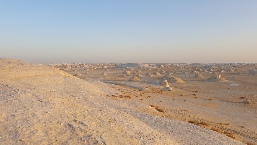 Великолепная экскурсия! Море восхитительных эмоций от увиденного и от общения с отличными людьми! Понравилось разнообразие посещенных