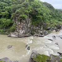 Фото отзыва 4: экскурсия "Заповедная Корея: парк ЮНЕСКО, водопад, стеклянный мост и обед (всё включено)"