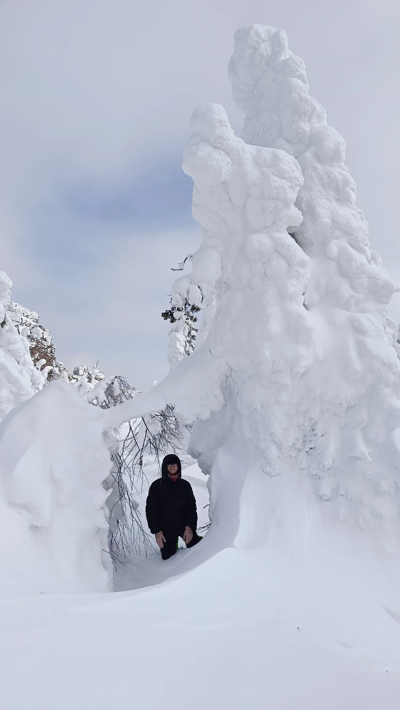 Сбылась мечта побывать в зимней сказке Пермского края! Это очень красиво, волшебно, удивительно! Ёлочки в белоснежных