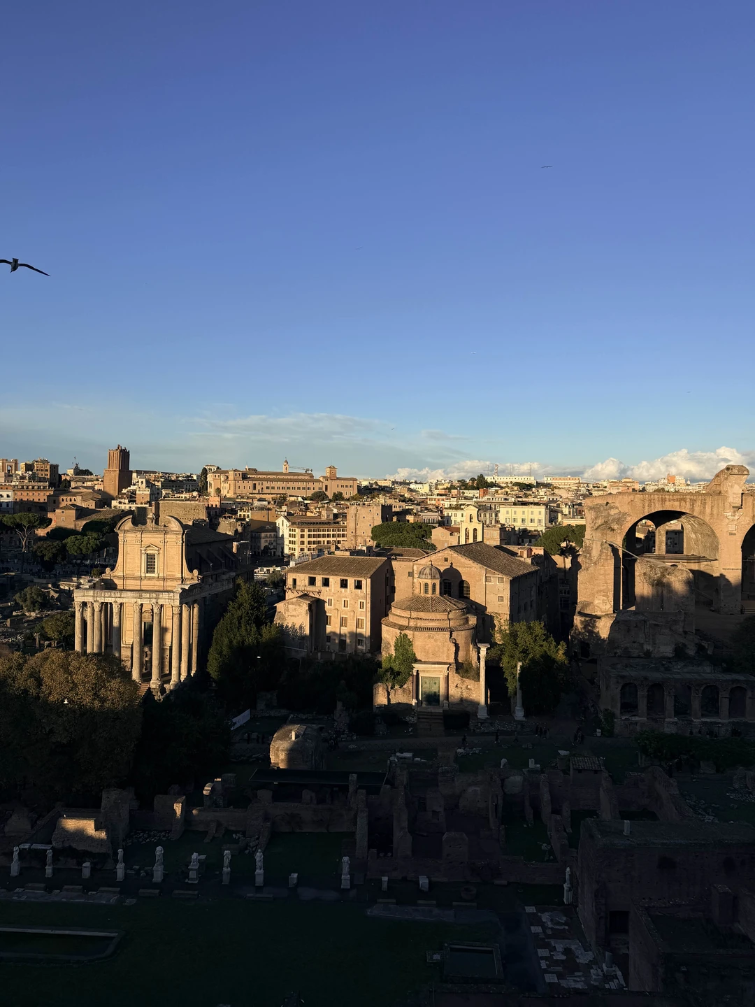 Экскурсия с Нелли была лучшим решением 👍🏻