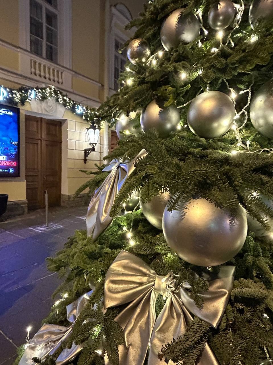 Праздничный Петербург: путешествие по истории Нового года (Анастасия)