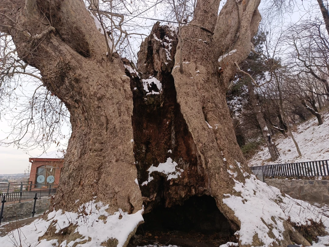 Кахетия: вино, легенды и красота (в группе) (Анна)