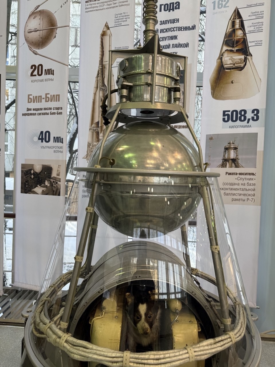 Благодарим гида Дмитрия за прекрасно организованную экскурсию. Все было безупречно. В музее очень интересно и познавательно