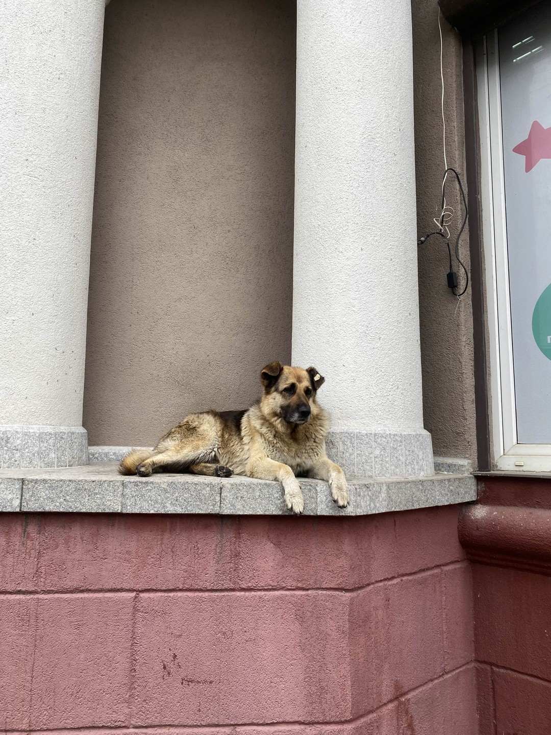 Восторг и впечатления!