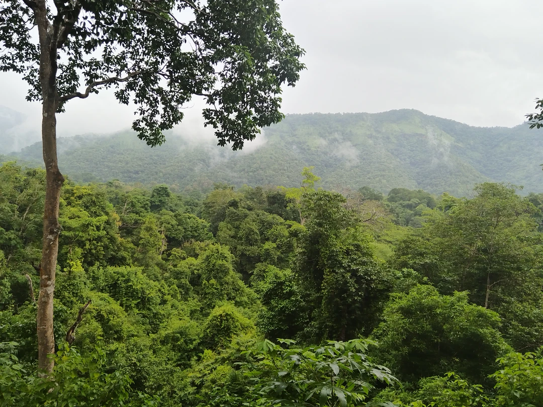 Это как выезд на природу большой компанией на выходные) Море эмоций и впечатлений! Рекомендую!