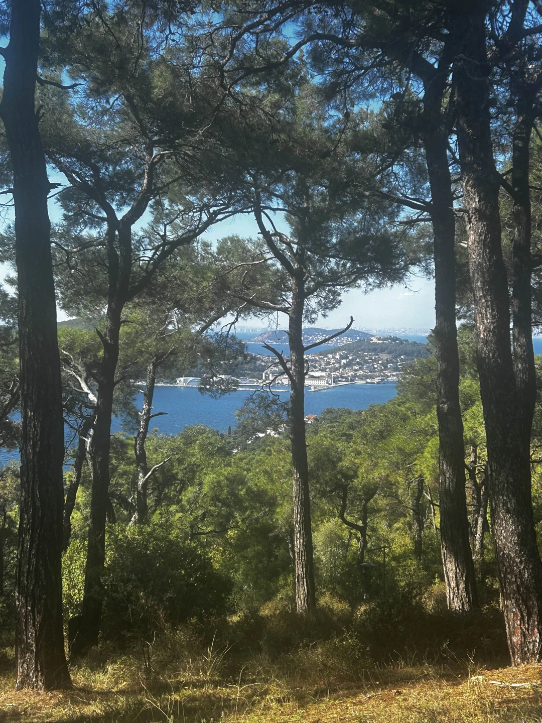 Делюсь опытом!