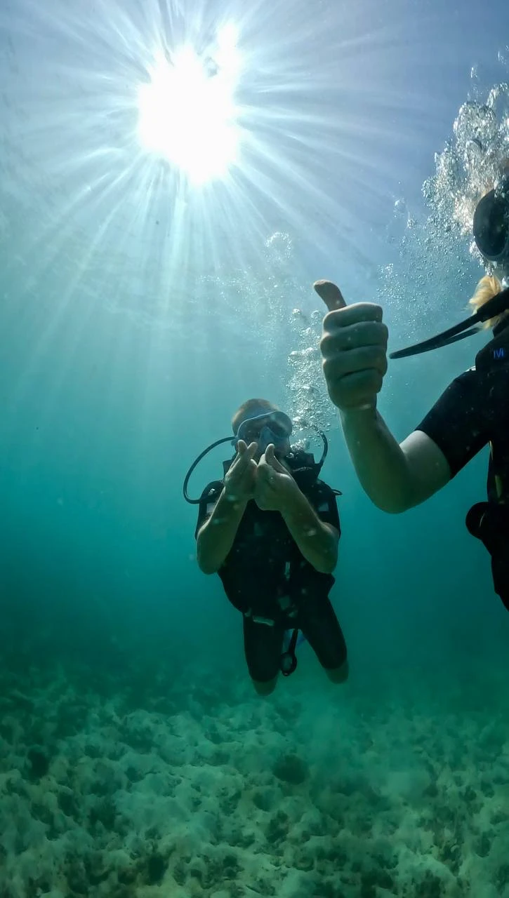 Алексей зе бест! Очень внимательное отношение к каждому погружающемуся, подробный инструктаж, спокойная и дружелюбная атмосфера. Есть