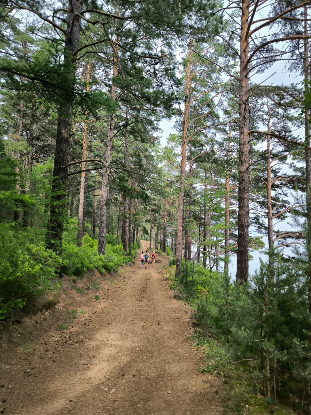 Евгений - это не только гид от Бога, но и потрясающий психолог, который может поддержать и