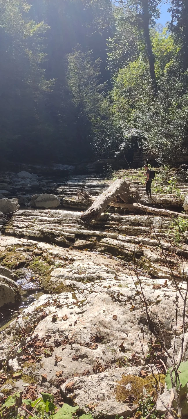 Хочу сказать огромное спасибо Даниилу, отличный парень, коренной сочинец, обожающий природу Сочи, знающий почти всё глубинки