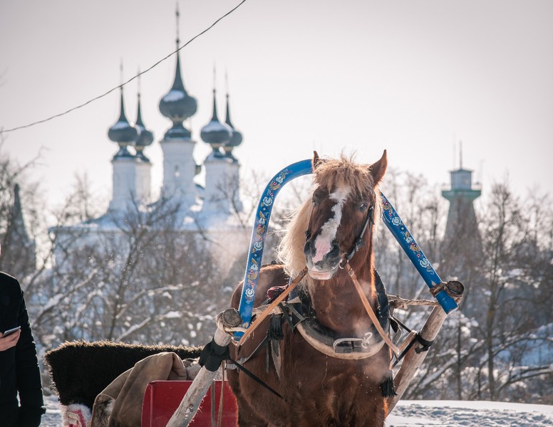 Фото экскурсии 12