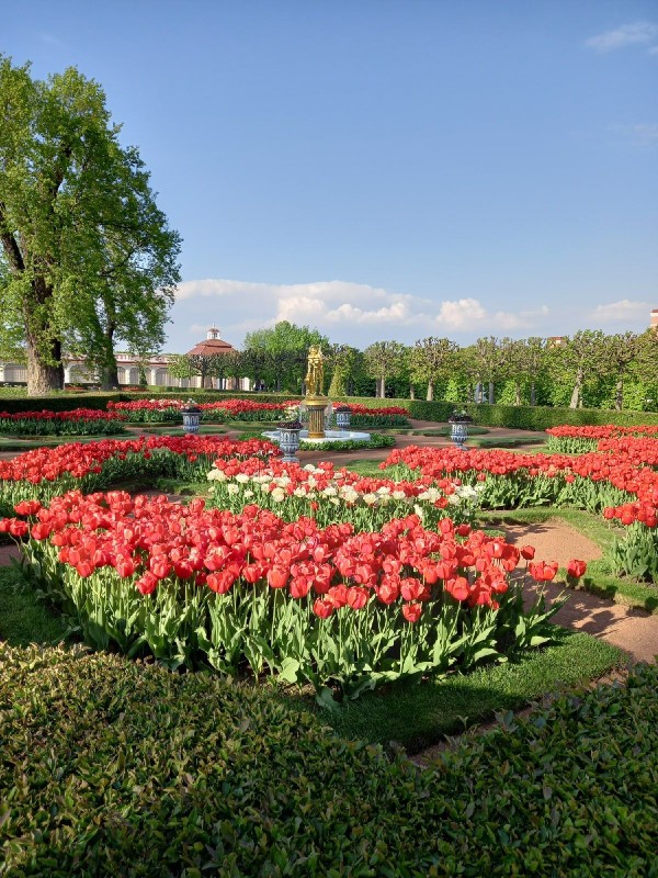 Виды От Ораниенбаума до Петергофа: невозможное возможно