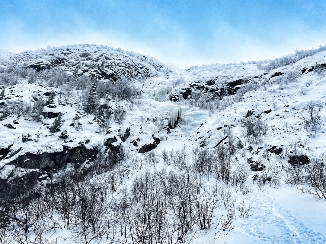 Только вернулись с экскурсии-поездки. Было очень классно, дружелюбно и местами вкусно. Выдали каждому снегоход, проинструктировали, контролировали