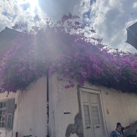 Фото отзыва 8: экскурсия "Старый город Антальи + водопады Куршунлу и&nbsp;Дюден"