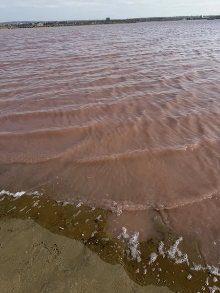 Природа Азербайджана оставила очень сильное впечатление — контрастная и живая. Горы, озера и каньоны стоят того