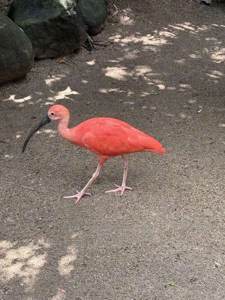 Нашим гидом был Ваян, и это было супер приключение. он очень интересно рассказывает, достойно владеет русским