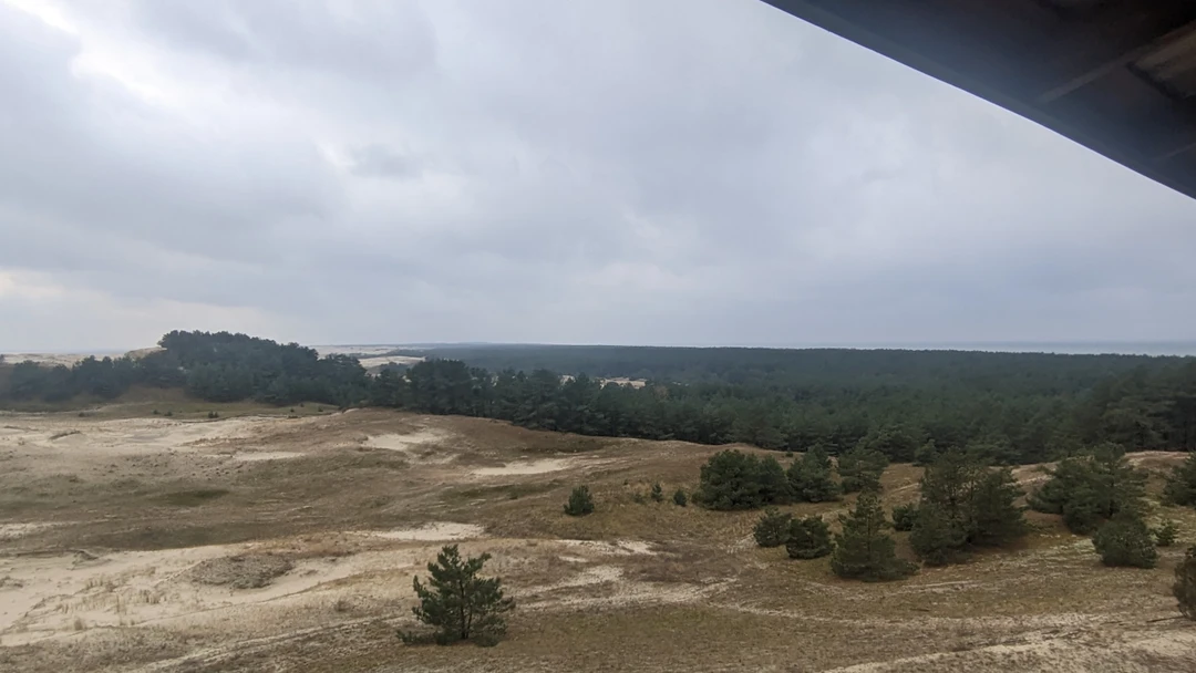 Очень понравилось