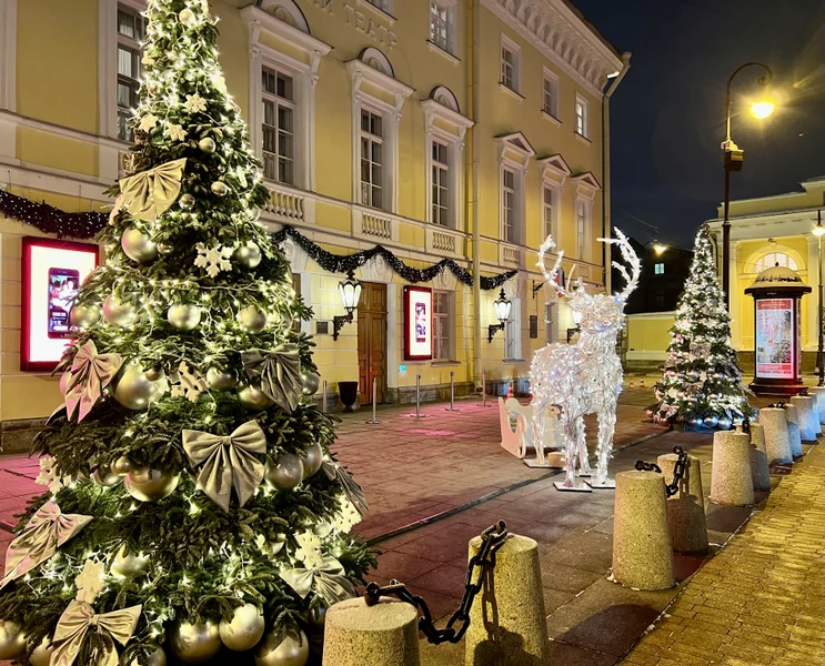 История новогодней ёлки и прогулка по зимнему Петербургу