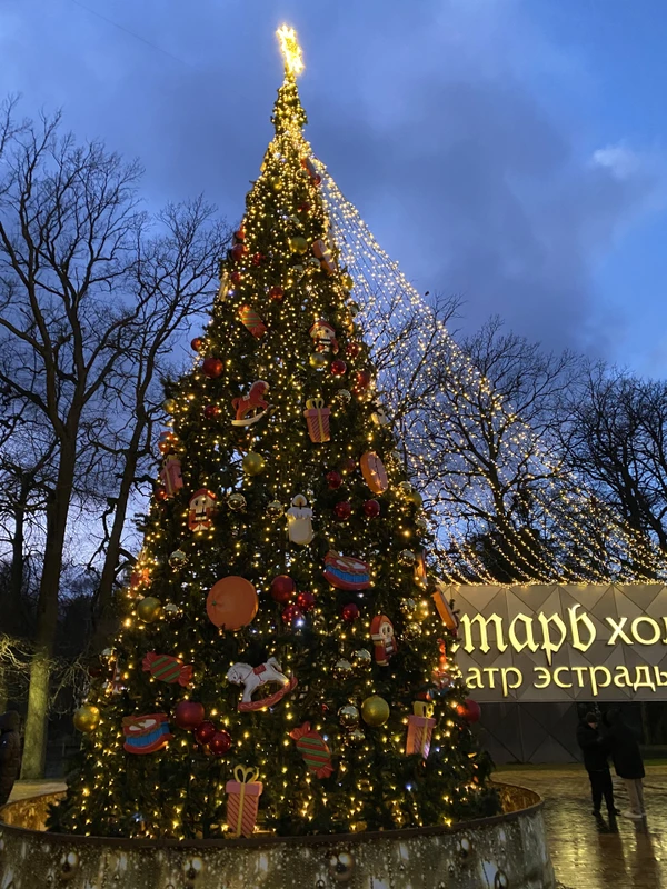 Янтарный берег: Светлогорск + посёлок Янтарный