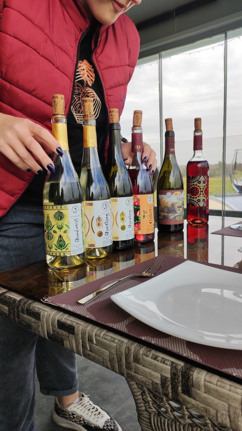 В силу ограниченного времени нахождения в Ташкенте, забронировала этот, достаточно неожиданный для Узбекистана, тур)