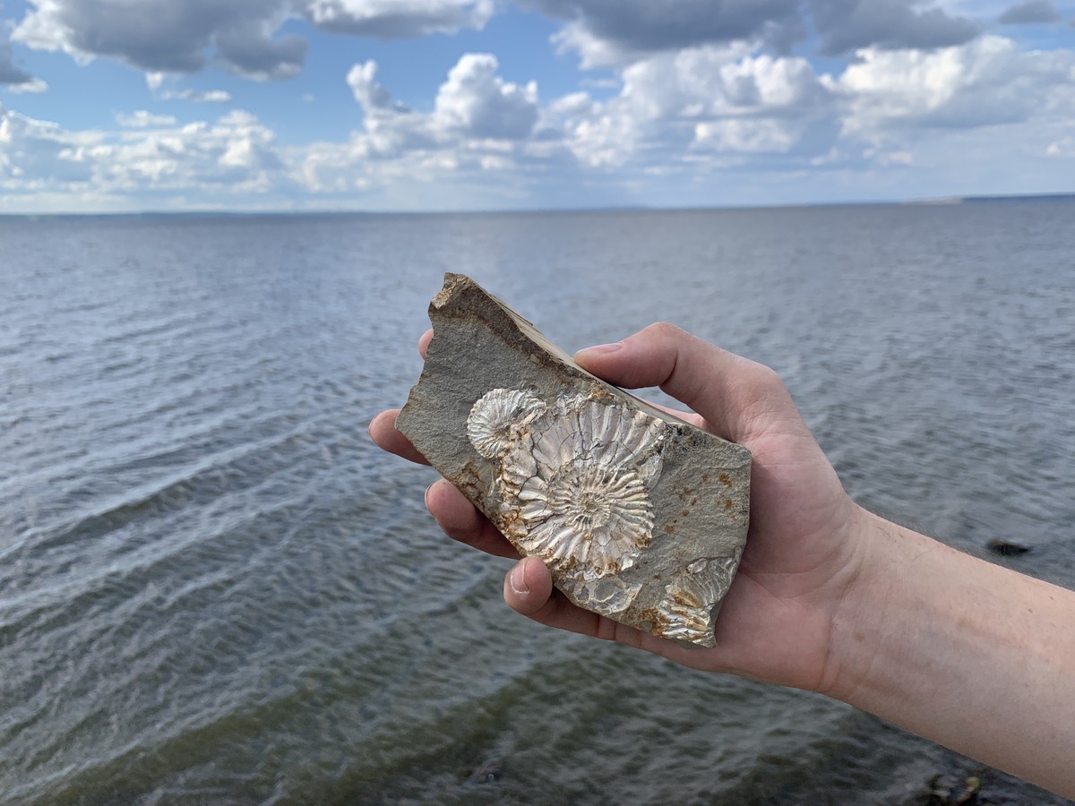 Экскурсия Целебная вода Ундор и динозавры Поволжья