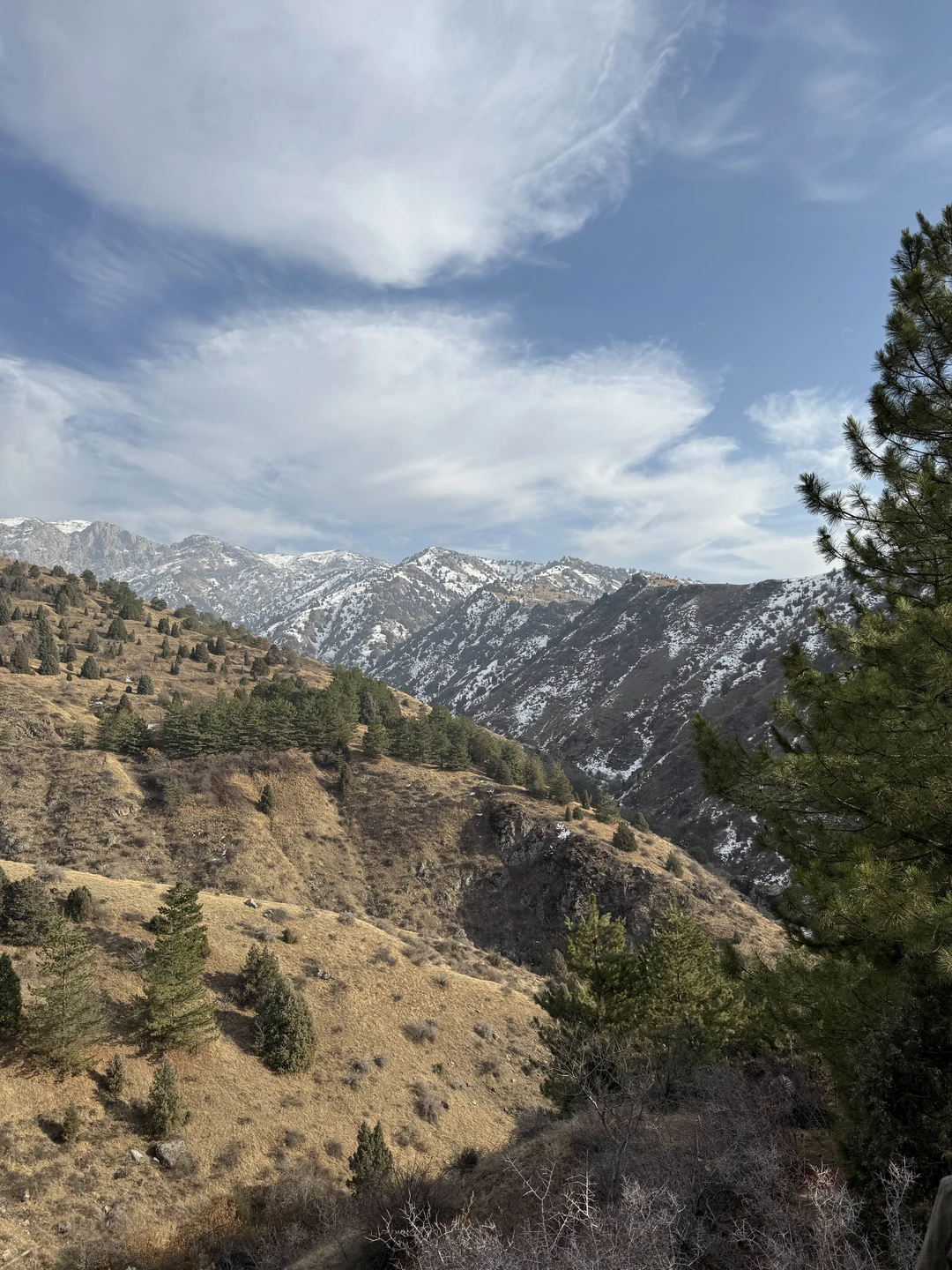 Замечательная и очень познавательная экскурсия. Равшан - прекрасный гид, человек любящий свою страну и знающий историю